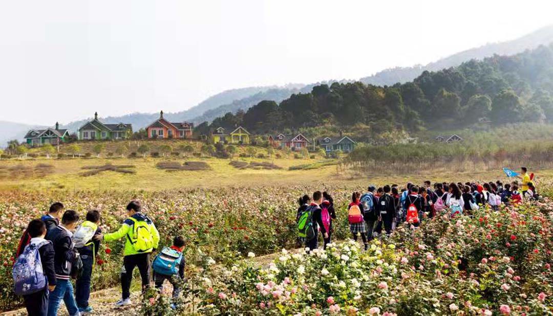 南昌大學(xué)附屬小學(xué)紅(hóng)谷灘分校2019秋季斐然生态園研學(xué)活動